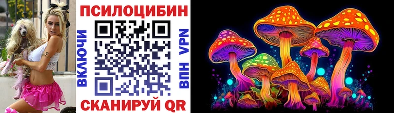Галлюциногенные грибы Psilocybine cubensis  цена   Лысково 